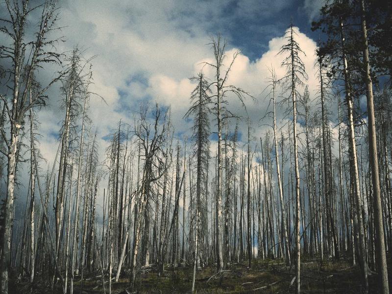 付款方式无法跳过<br>换区必选付款解决